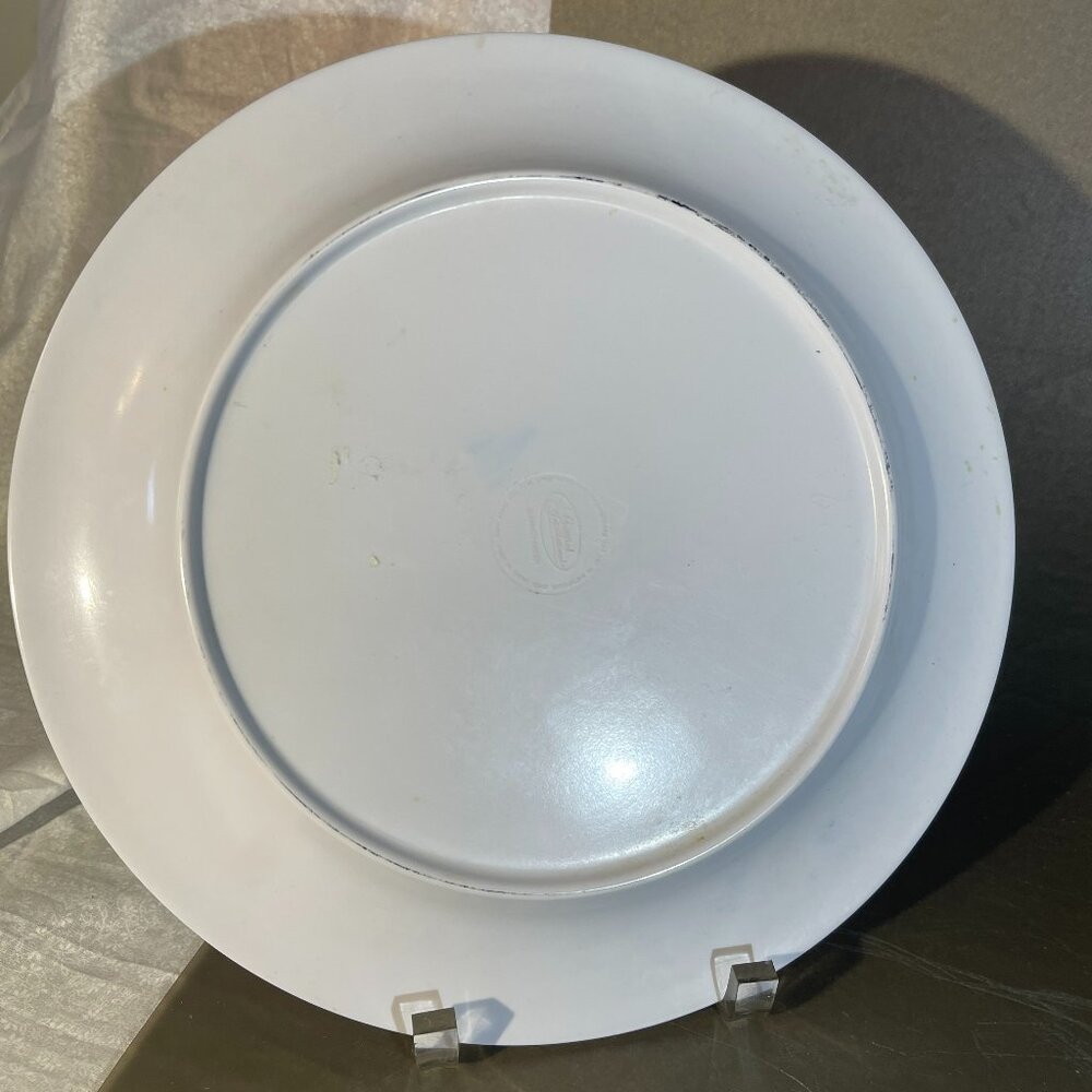 6-Certified International Colorful Serape Dinner Plates Art by Nancy Green (1322 - Picture 2 of 2